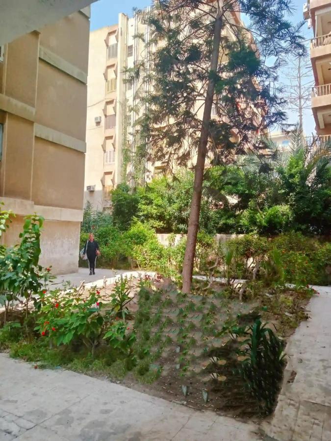 Lara Maamoura Alexandria