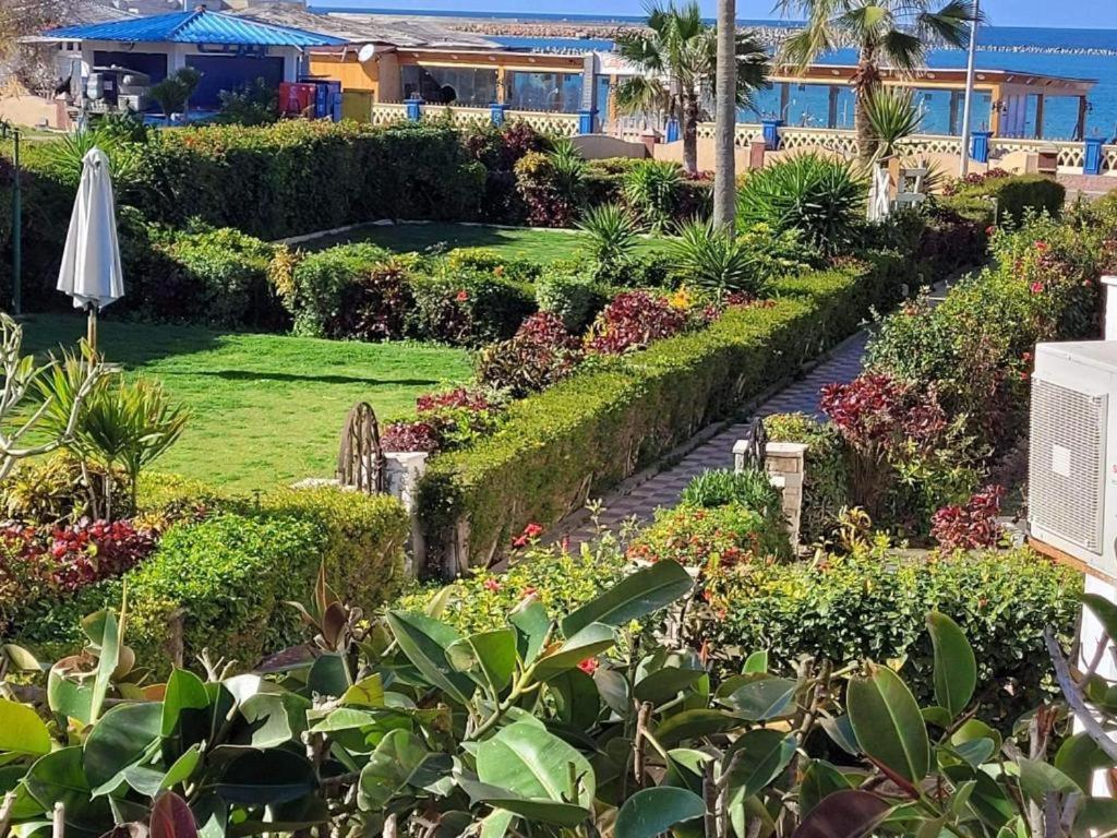 Vila Lara Maamoura