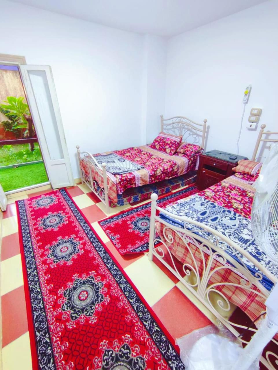 Lara Maamoura Alexandria